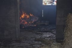 2019 BC3 Burn Training